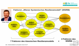 Jun. / Peter Klein - Das Wiener Systemische Resilienzmodell