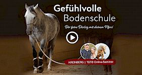 Vorschau-Video | Kurzüberblick