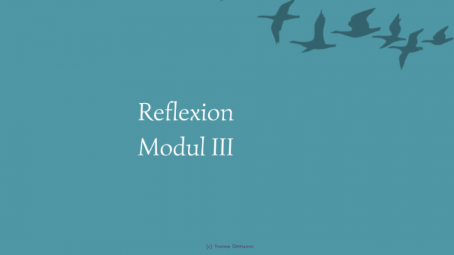 Reflexion und Feedback