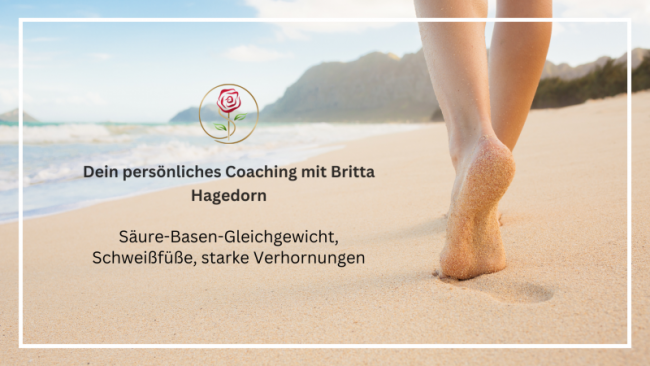 Dein Link zum Webinar