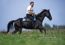 Psyche, Verhaltensweise und Gefühlsleben