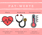 Die PAT-Werte - Ist Dein Pferd wirklich okay?
