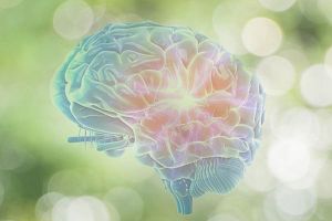 28 Tage Vagus-Challenge