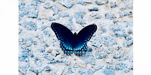 Den eigenen Stil entfalten