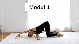 Modul 1