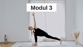 Modul 3