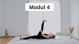 Modul 4