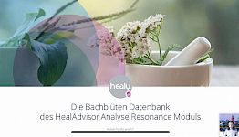 Martin Wittmann_Bachblüten