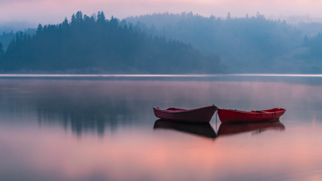 Zusammenfassung und Übersicht