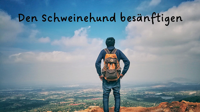 Den Schweinehund besänftigen