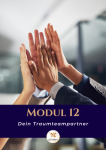 Modul 12 - Dein Traumteampartner