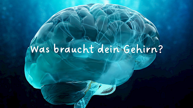 Was braucht dein Gehirn?