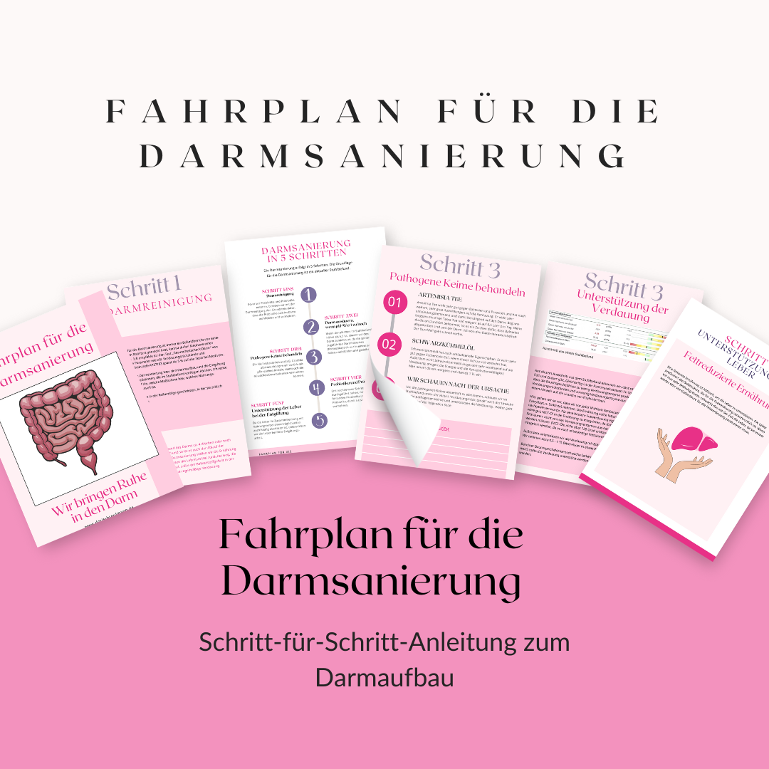 fahrplan_fur_die_darmsanierung.1716281485.png