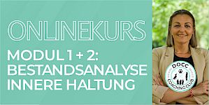 Bestandsanalyse & Innere Haltung