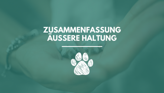 Zusammenfassung Modul 3