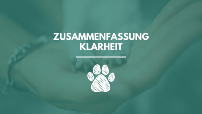 Zusammenfassung Modul 4