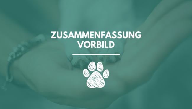 Zusammenfassung Modul 6