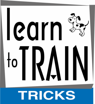 Deine Trickplattform - Hier findest du alle Trickvideos von A - Z