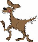 Rückwärts-Tricks - alles einmal im Rückwärtsgang