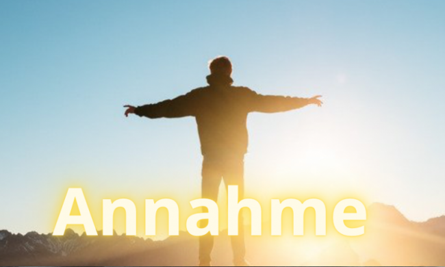 Lebensumstände annehmen