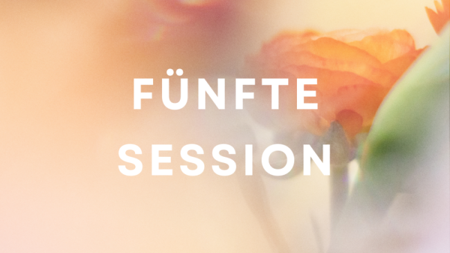 Bewegung & Zyklus + LIVE mit INARA über Yoga