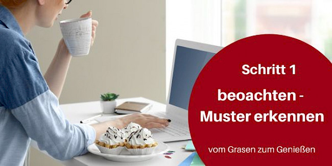 Schritt 1: beobachten