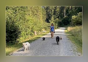 Spazieren - das reinste Erlebnis