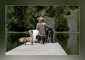 Allgemeine Videos zu Beginn