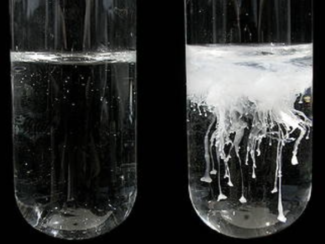 Nachweise der Anionen