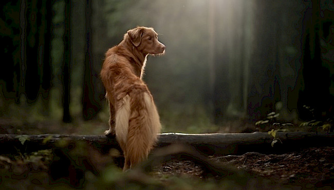 Jeder Weg beginnt mit dem ersten Schritt