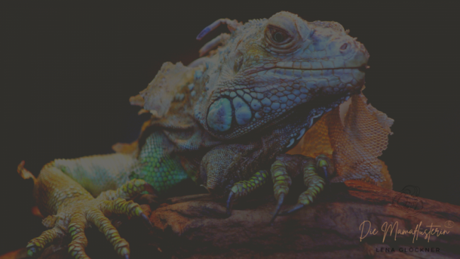 Übung Reptiliengehirn!