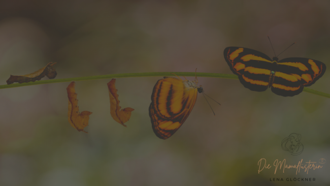 Aufzeichnung 1. Call