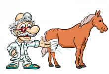 Gerüstet für den Notfall: Verbände korrekt anlegen