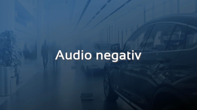 Audio negativ