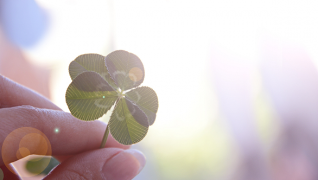 Folge 1: Lerne glücklich zu sein