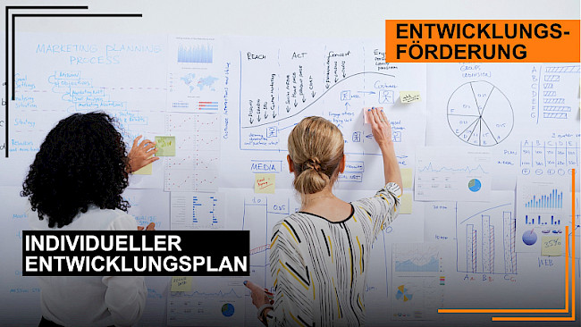 Erstellung eines individuellen Entwicklungsplans
