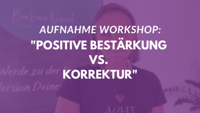 Positive Bestärkung vs. Korrektur