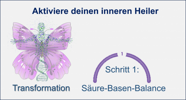 3. Säure- und Basenfluten im Tagesverlauf -der pH-Wert