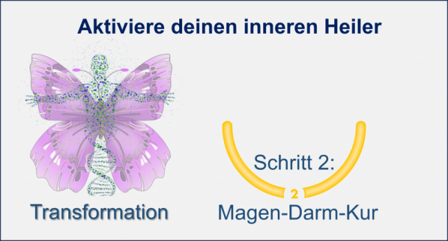 5. Was schützt die Darmflora und baut sie wieder auf?