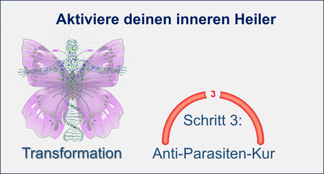 4. Was dein Immunsystem zum starken Bollwerk macht