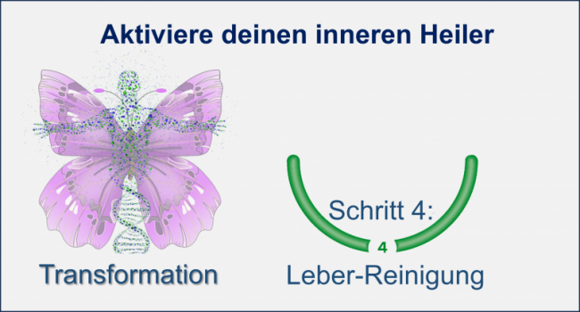 4. Das mag die Leber – leberfreundliche Ernährung