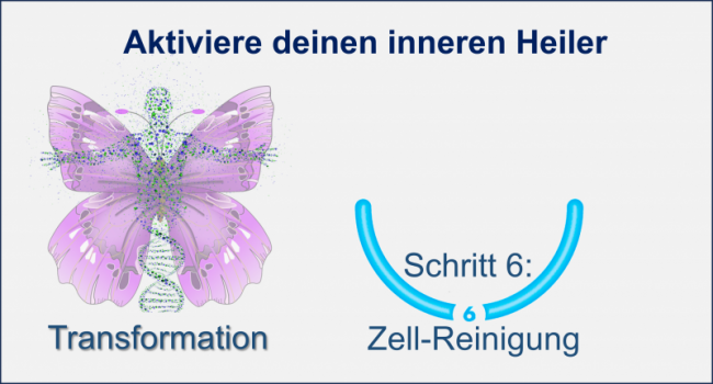 1. Wie sich die Zelle selbst reinigt- das Geheimnis der Autophagie