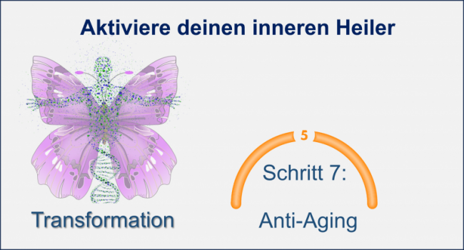 3. Wie entsteht Gesundheit