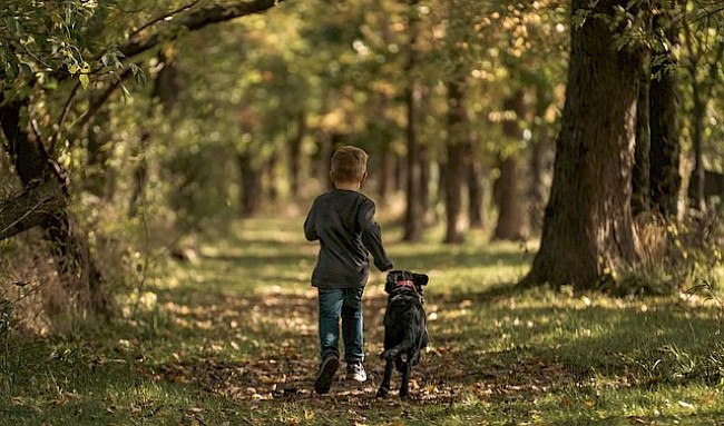 Der Weg ist das Ziel und jeder Schritt