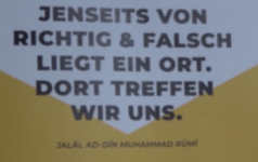 Woche 7: und zum Schluss ...