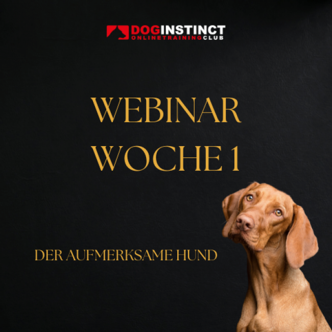 Webinaraufzeichnung Woche 1