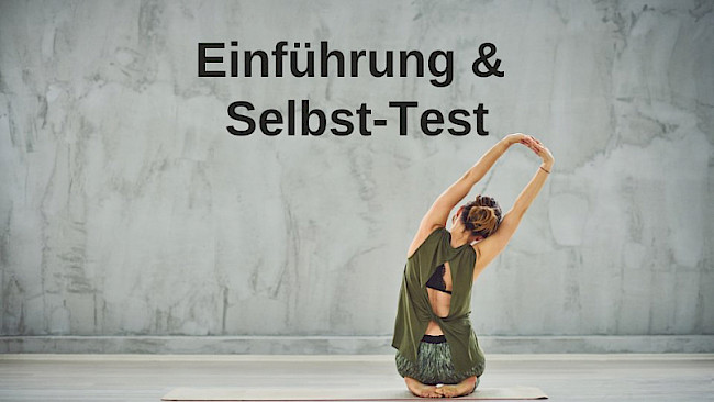 Einleitung & Selbst-Test