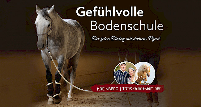 Vorschau-Video | Kurzüberblick