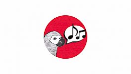 Muntlig prøve (oral exam)