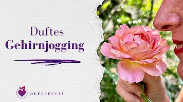 duftes Gehirnjogging